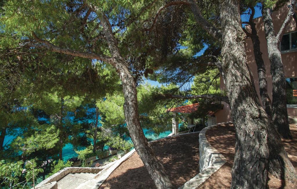 Beautiful Apartment By The Sea Prizba Exteriér fotografie